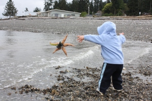 finn rescuing starfish from lowtide